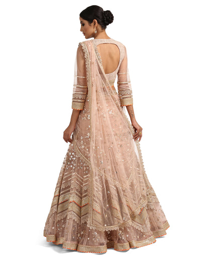 Lehenga Saree with Embroidered Blouse- Blush