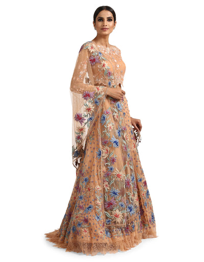Lehenga Saree with Lace Blouse- Peach