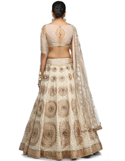 Embroidered Lehenga and Blouse- Ivory