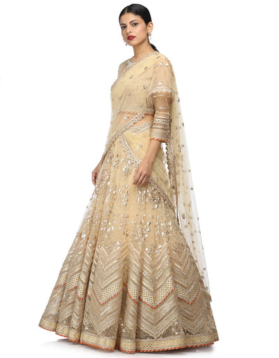 Lehenga Saree with Embroidered Blouse- Antique Beige