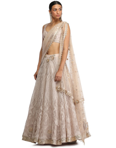 Embroidered Lehenga Saree Set- Oyster Grey
