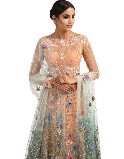 Embroidered Tulle Dupatta- Aqua