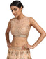 Embroidered Lehenga and Blouse- Peach