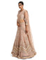 Lehenga Saree with Embroidered Blouse- Blush