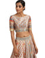 Silk Panelled Lehenga- Blue