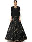Lehenga with Star & Floral Embroidery- Black