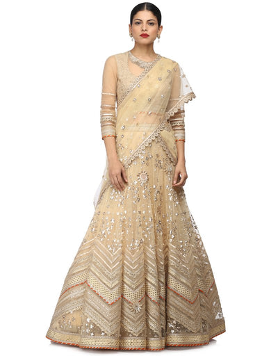 Lehenga Saree with Embroidered Blouse- Antique Beige