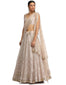 Embroidered Lehenga Saree Set- Oyster Grey