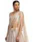 Embroidered Lehenga Saree Set- Oyster Grey