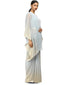Stardust Draped Saree in Net- Ice Blue